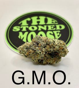 G.M.O.
