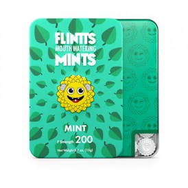 Mint Mouth Watering Mints