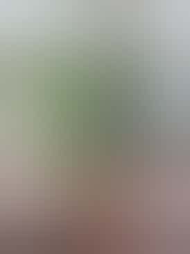 Do Si Dos 1g Caviar Disposable