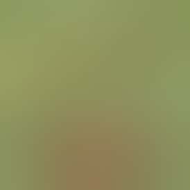 Raw - 1 1/4 Rolling Papers Black