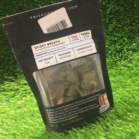 THICC - Spidey Breath 3.5G