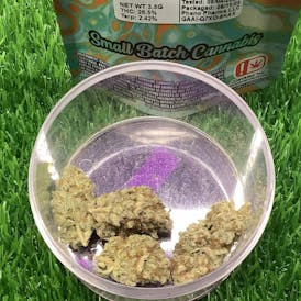 Miller Kush - Spiked Mai Tai - 3.5G