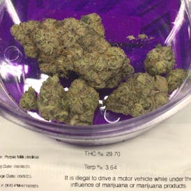 Bad Boy Xotix - Purple Milk - 3.5G