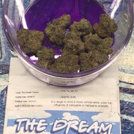 Bad Boy Xotix - The Dream - 3.5G