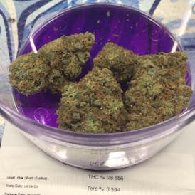 Bad Boy Xotix - Pink Sherb - 3.5G