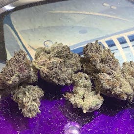 THICC - Sooner Sunrise 3.5G