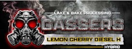 GASSERS 1g Pre-roll - LEMON CHERRY DIESEL