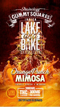 Orange Punch Mimosa | Gummies | 10pk