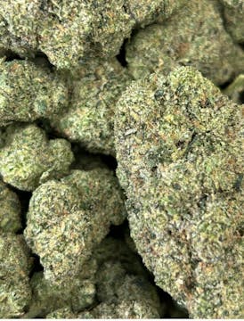 Lemon Drop Flower