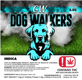 GASSERS DOGWALKER 7 PACK - GW