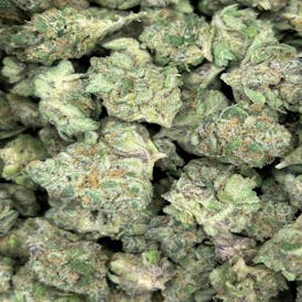 87 Lime Pop Flower