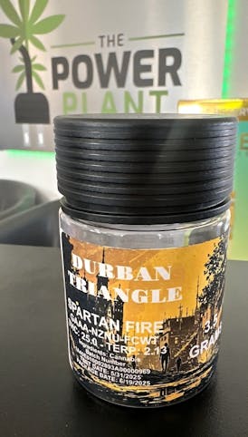 Durban Triangle Flower