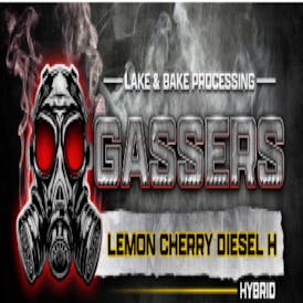 GASSERS 1g Pre-roll - LEMON CHERRY DIESEL