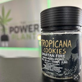 Tropicana Cookies Flower