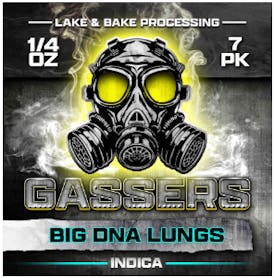 GASSERS 7 PACK 1G PRE-ROLL - BIG DNA LUNGS