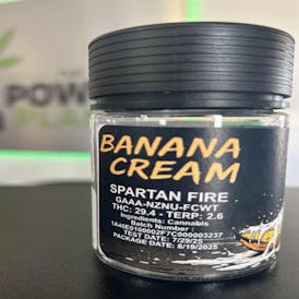 Banana Cream Flower (Bigs)