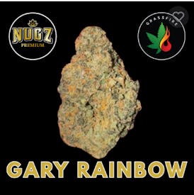 Gary Rainbow Flower