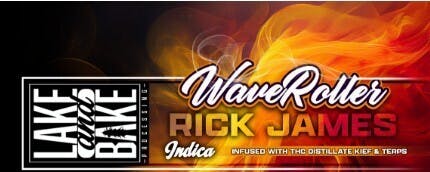 WAVE ROLLER 1G INFUSED PRE-ROLL - RICK JAMES