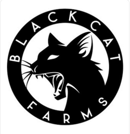Black Cat Concentrates -1g - Widow Haze