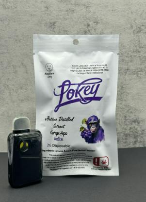 Lokey 2g Disposable - Grape Ape