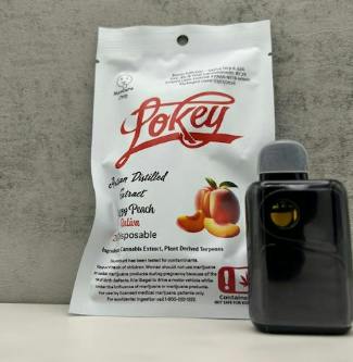 Lokey 2g Disposable - Fuzzy Peach