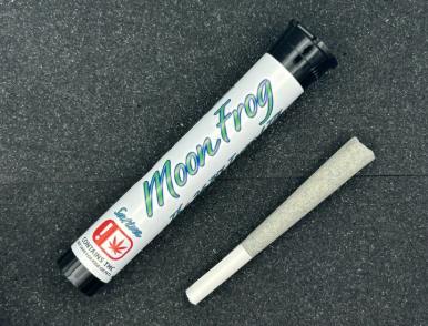Item No 9 Moon Frog