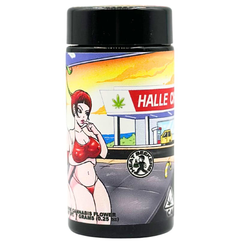 HEAT SEEKERS: Halle Cherry
