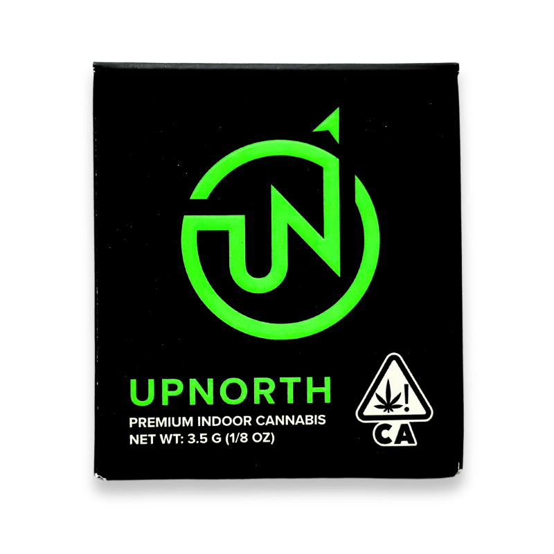 UpNorth - Northern Lights: Northern Lights