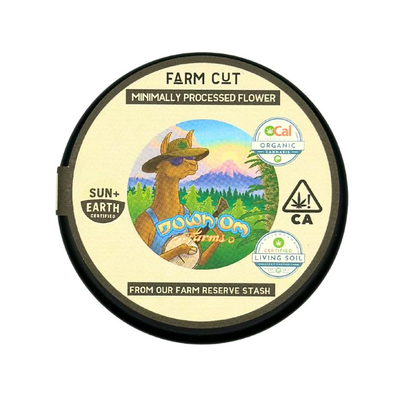 Farm Cut: Headband