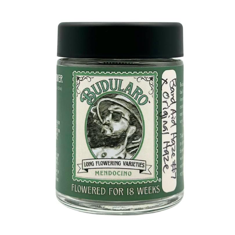 Budularo - Band Aid Haze - Flower - 3.5g
