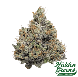 Blueberry Headband #1 | Flower 3.5g (Silver Tier)