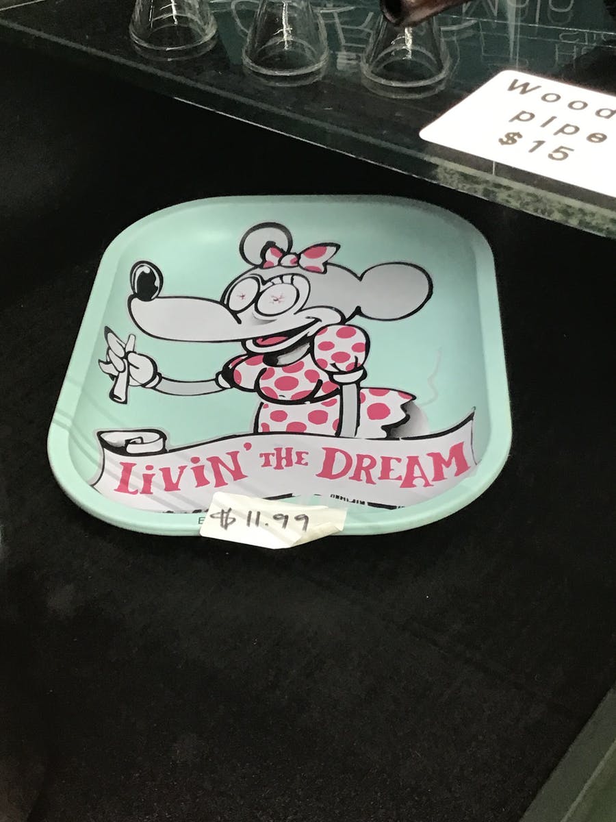 Livin a dream