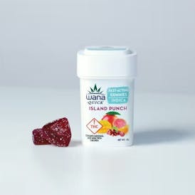 Gummies - Indica Island Punch