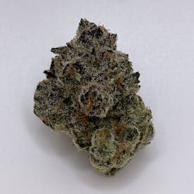 Gypsie Road - Captains Cannabis