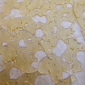 Papaya - 1G Shatter - Rugged Roots