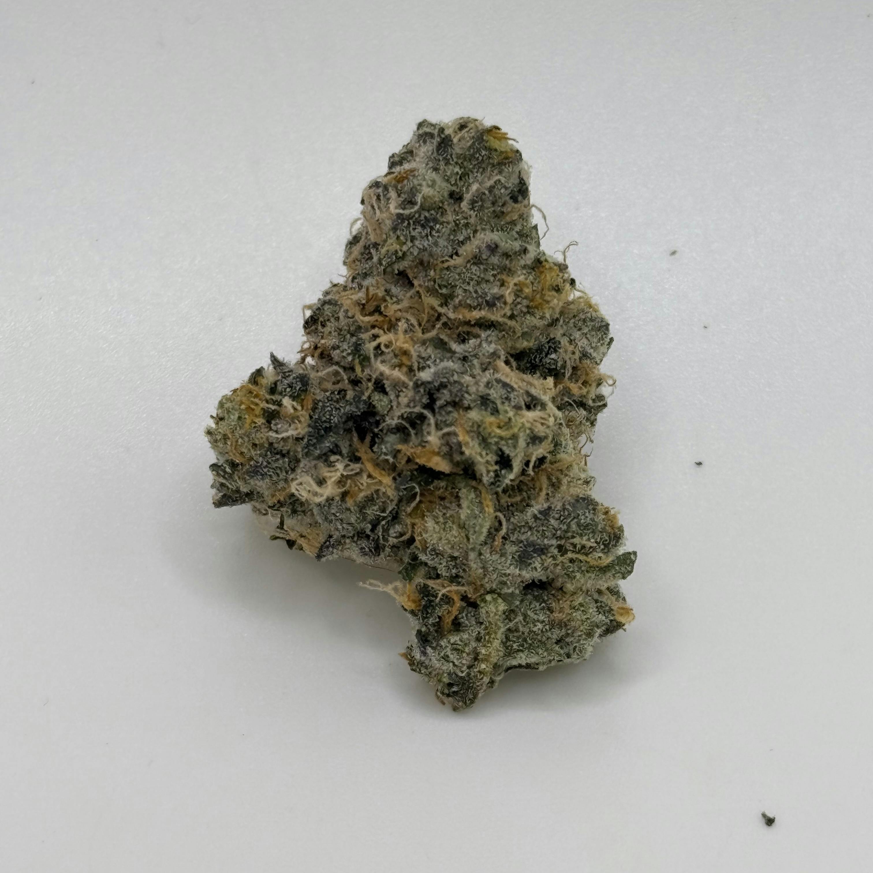 Gary Payton - Captains Cannabis