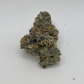 Gary Payton - Captains Cannabis