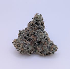 Los Celos - Captains Cannabis