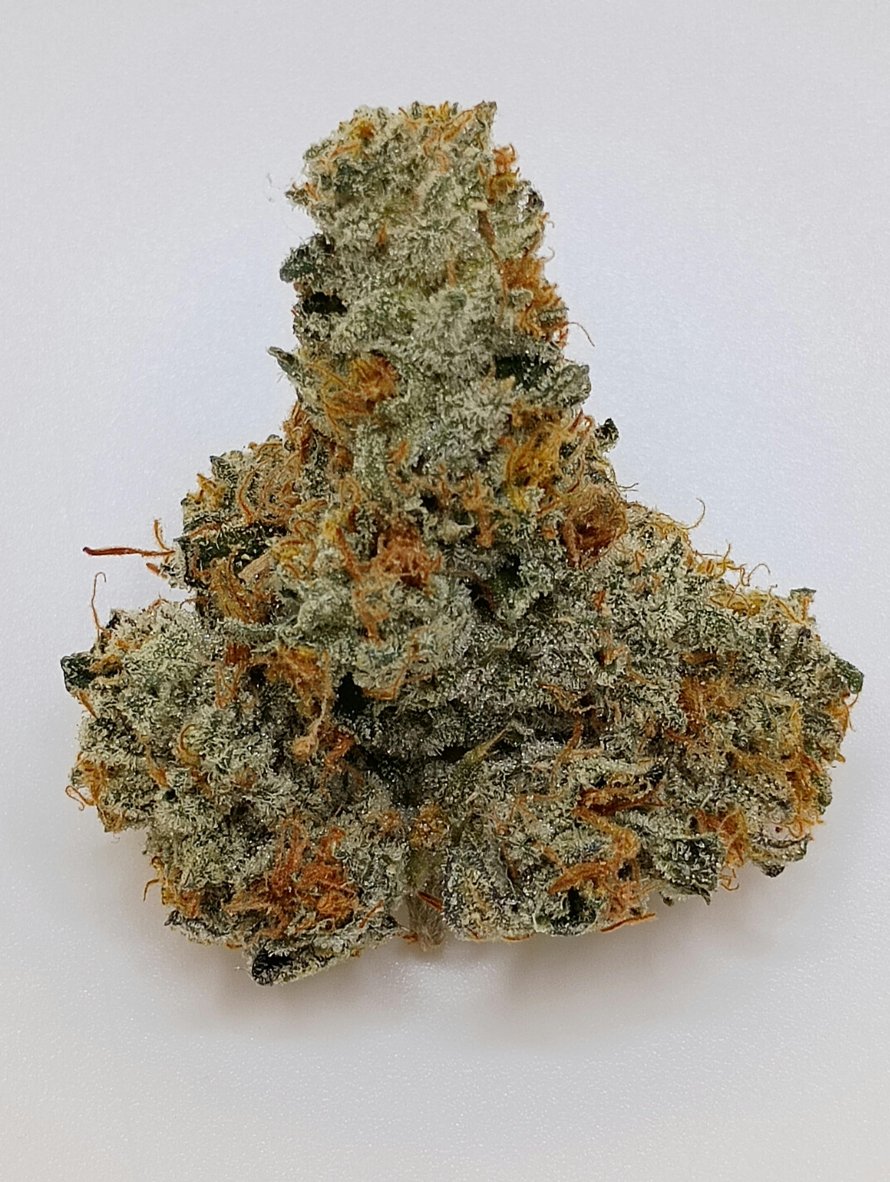 1 Oz Marmalade - Captains Cannabis *SALE*