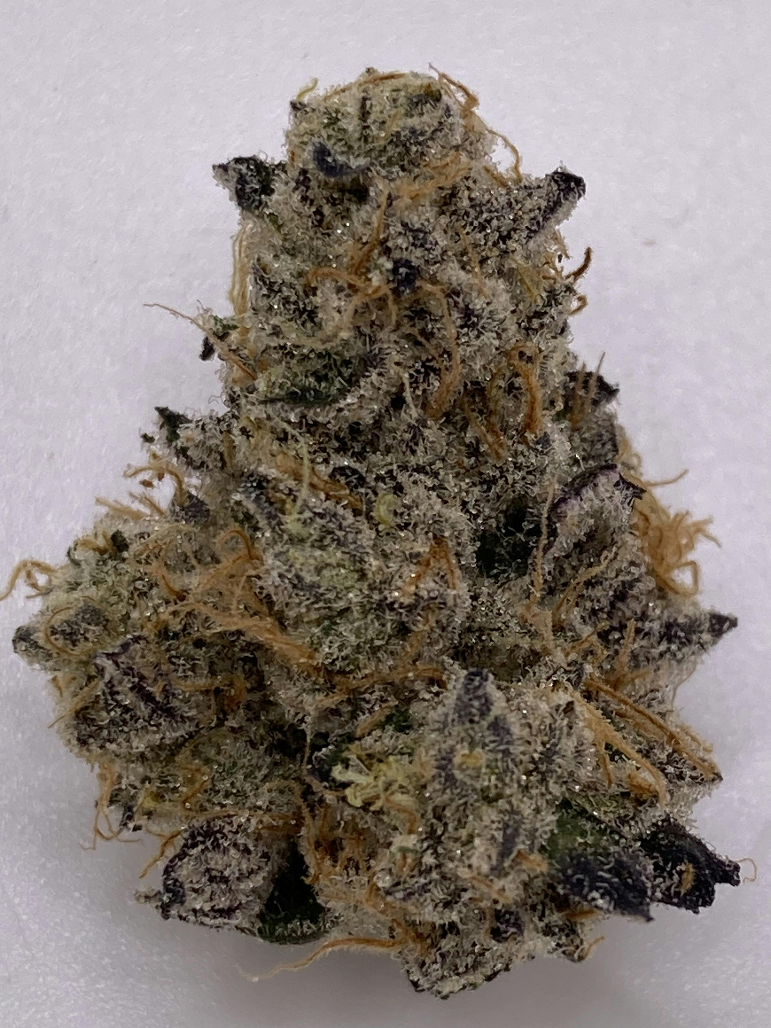Kush Mints - Bee's Knees 207