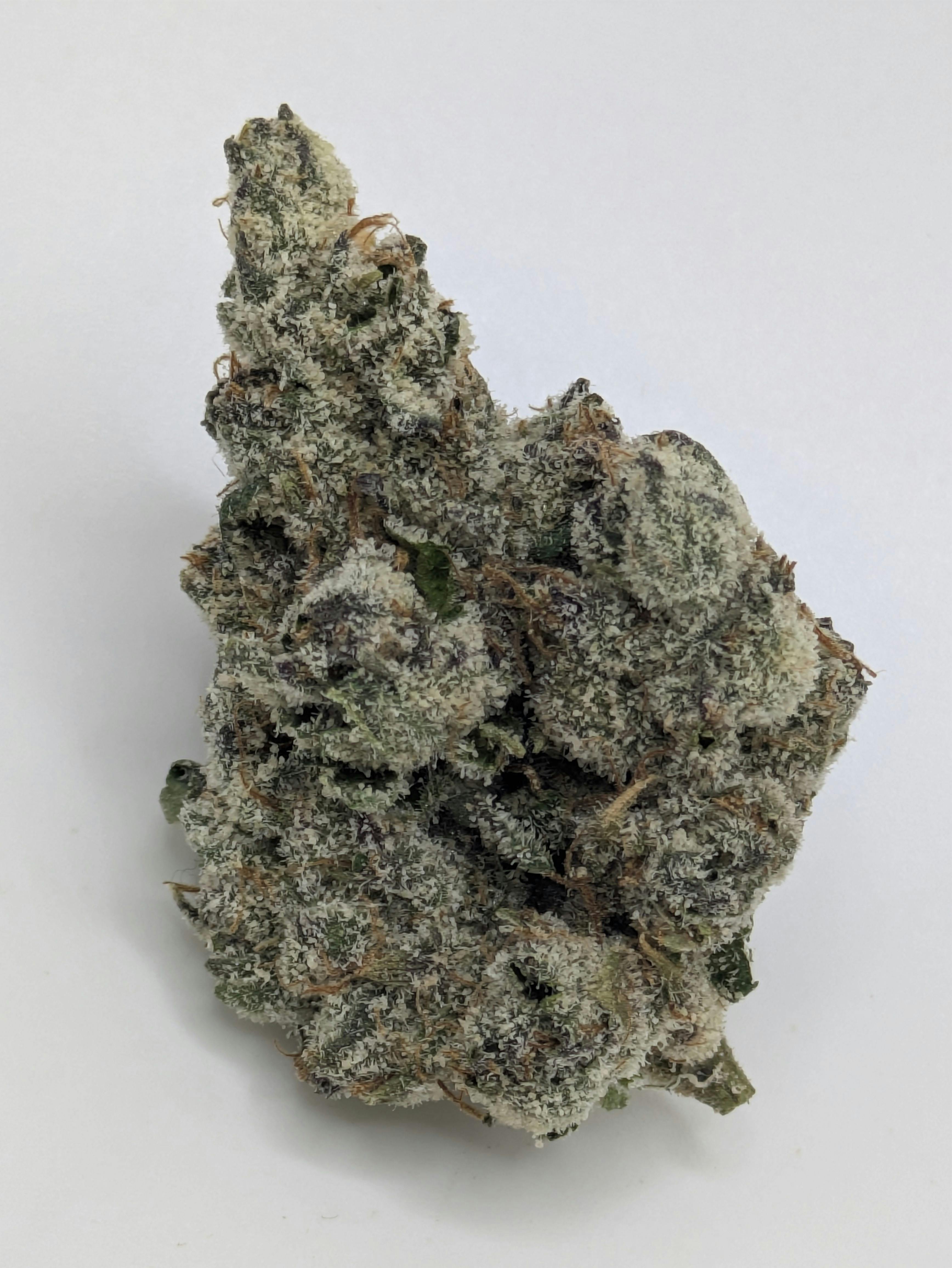 Frog Poison - Captains Cannabis