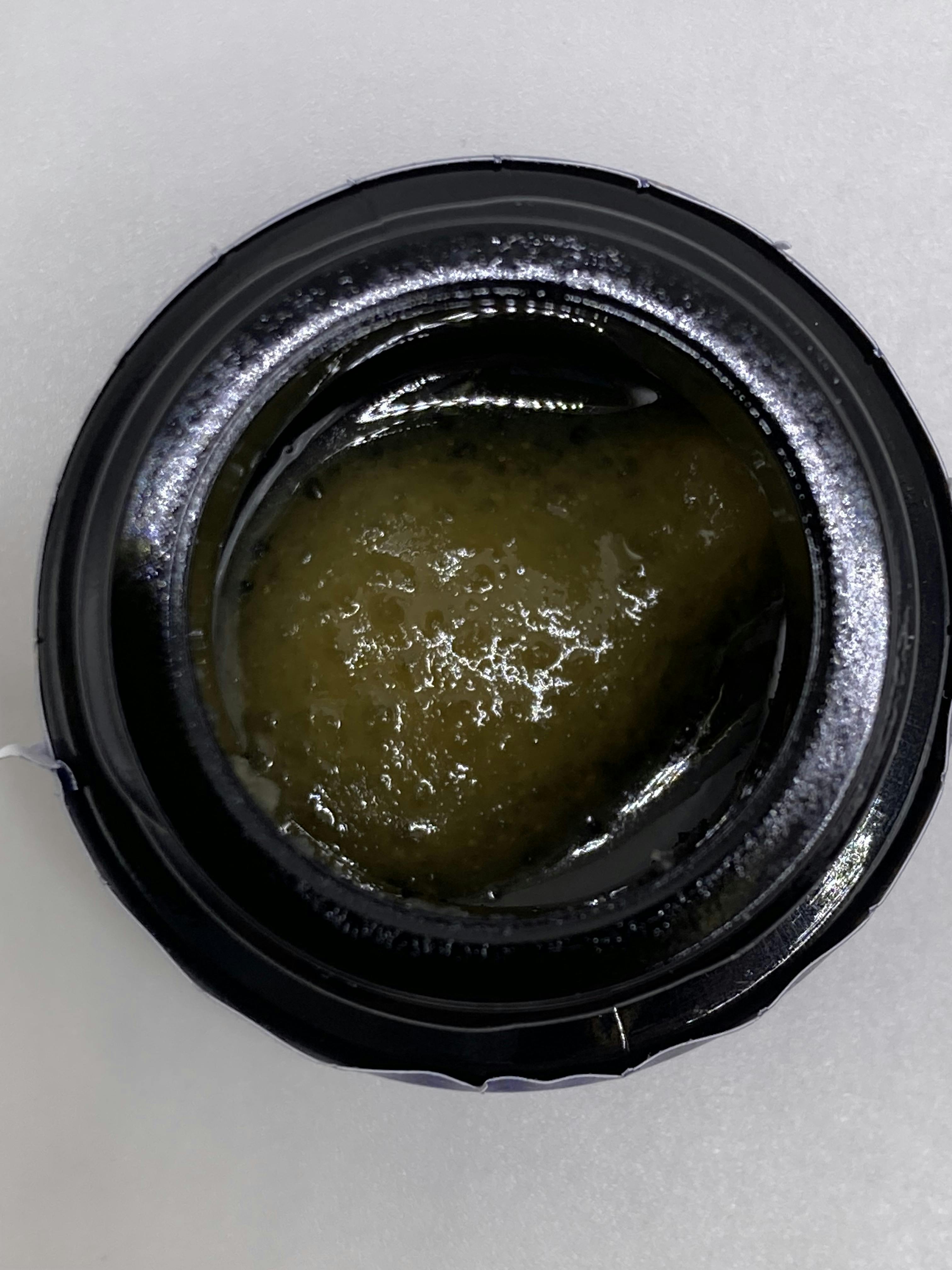 Blueberry Sugar - 1g - Maine Trees