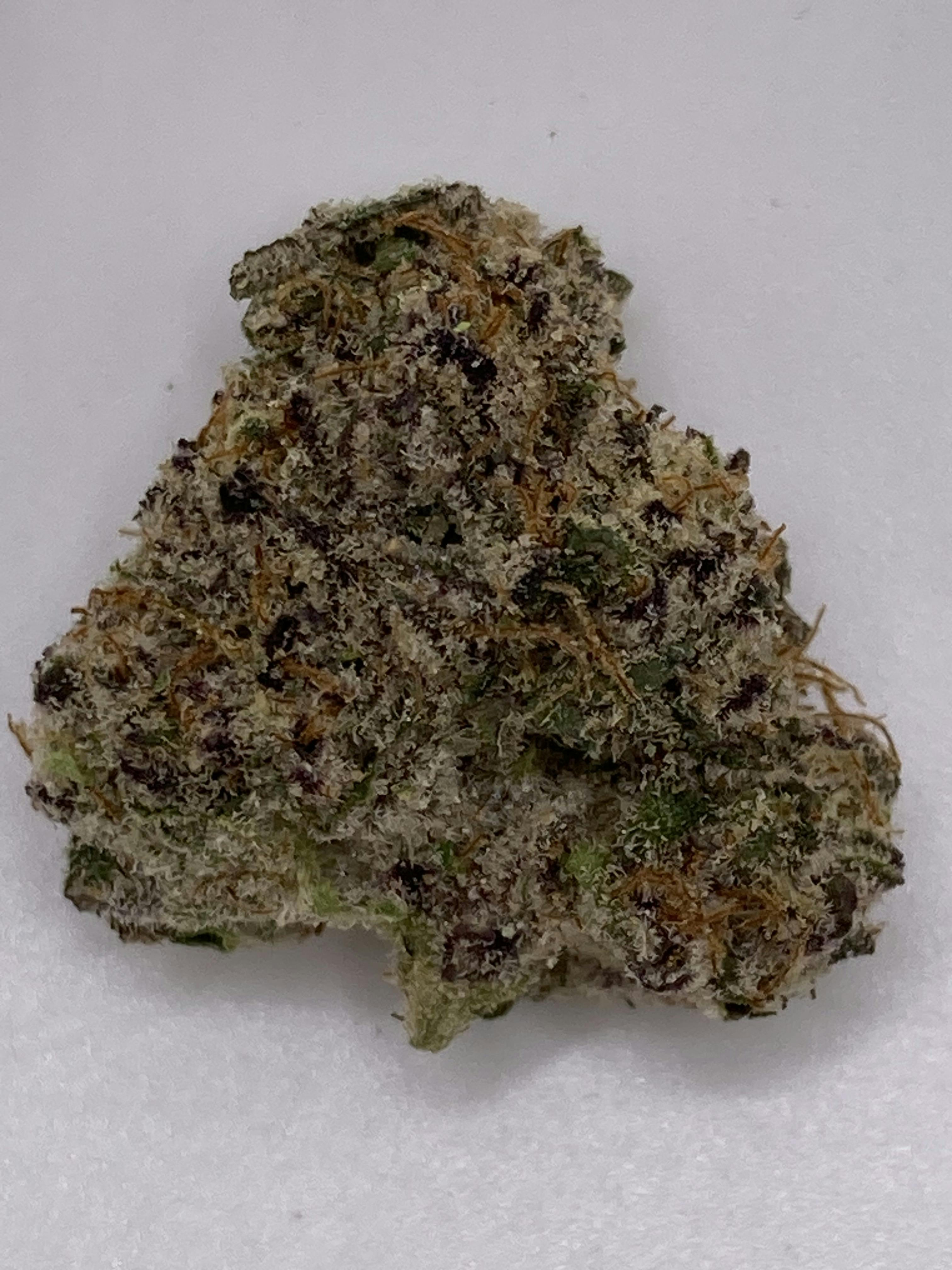 Rain Drop - Northern Terps