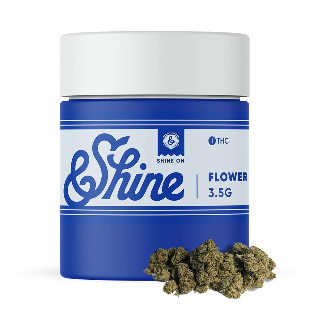 Citrus Bliss | &Shine - Popcorn