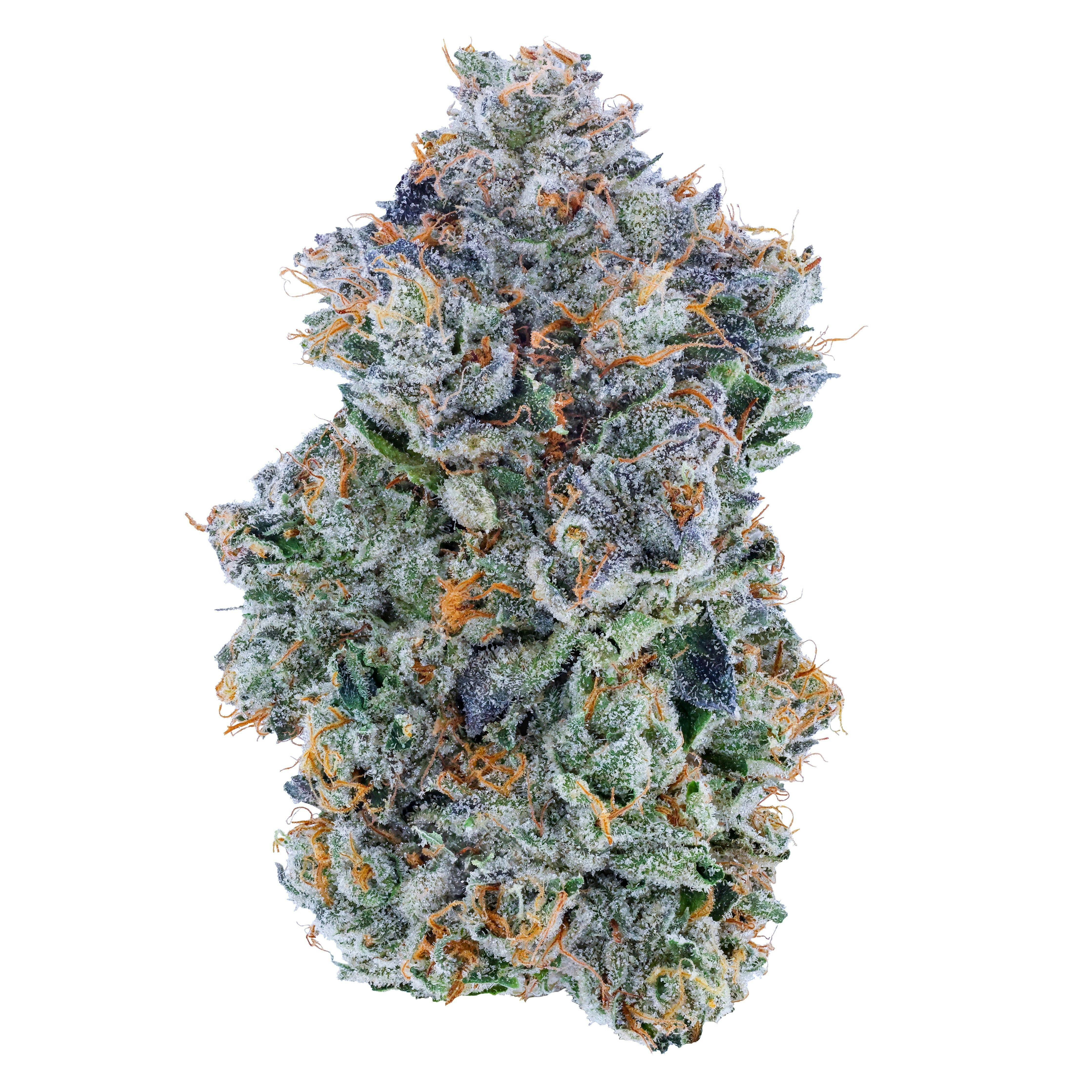 Blue Face