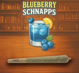 Blueberry Schnapps | 1g Pre-roll