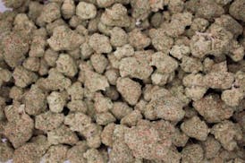 Hybrid Farms - Lemon Drop | Flower | 1/2oz (14g)