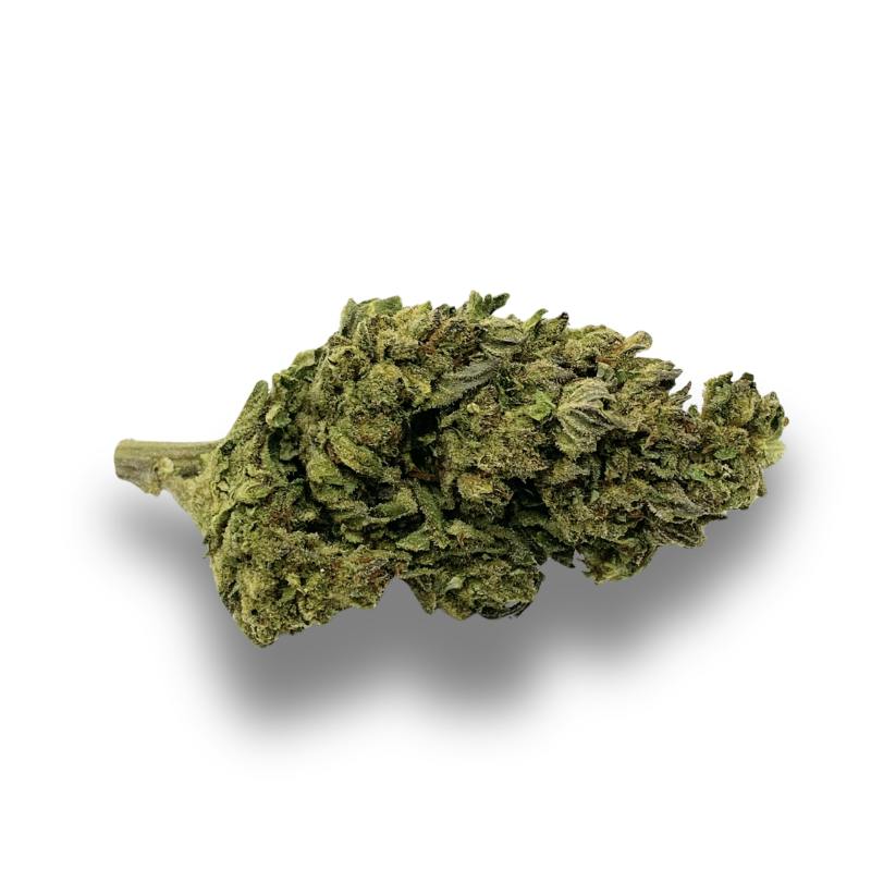Lilac Diesel | Dynamic Jack