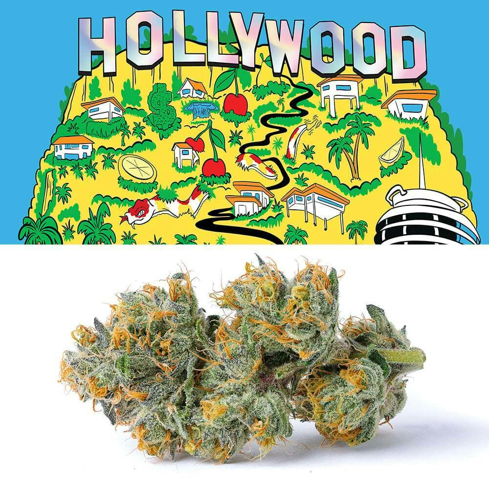 Hollywood | Cookies - Bud
