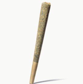 Mimosa | .75g Preroll | Coastal Remedies